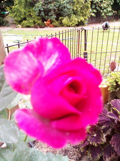 IMG_20180628_162257.jpg