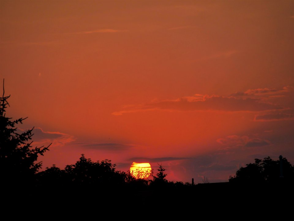 _1020602a.jpg - FoKam431