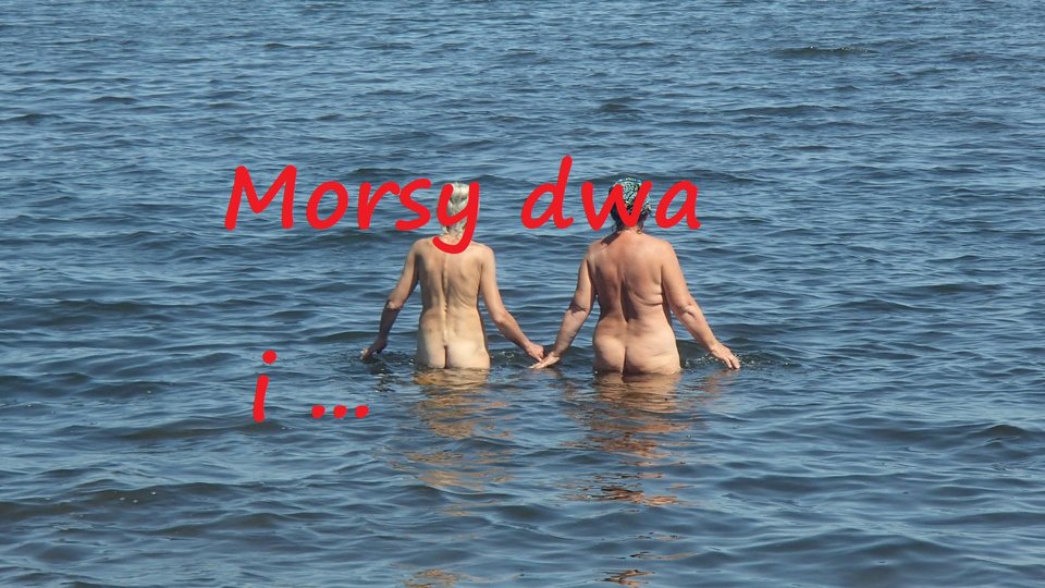 Rewa - Morsy_dwa