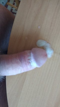 IMG_20180630_173611275.jpg