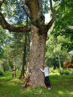 20180701_213344.jpg