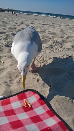 WP_20180530_17_23_48_Pro.jpg