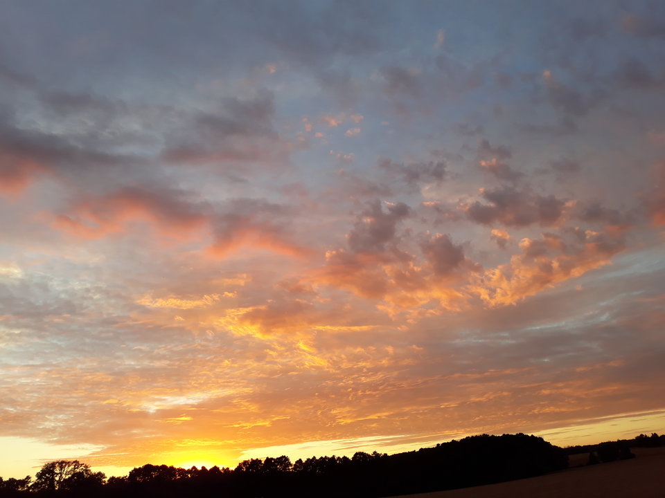 20180702_212058.jpg - Robertooooo73