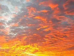 20180702_212929.jpg