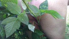 IMG_20180704_095611.jpg