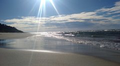 IMG_20180705_155252.jpg