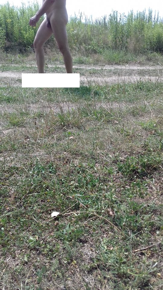 20180705_142318.jpg - przeznaczenie79