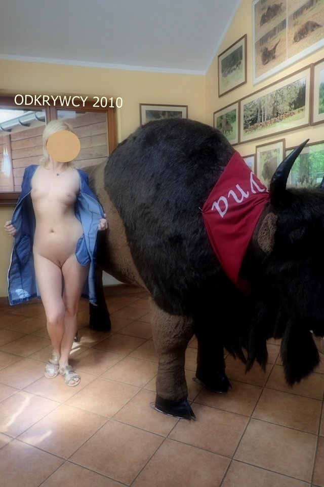 Poskromienie byka :) - Odkrywcy2010