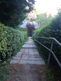 IMG_20180707_193716.jpg