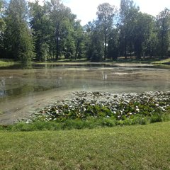 IMG_0147.JPG