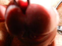 DSCN2069.JPG