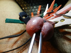 DSCN2147.JPG