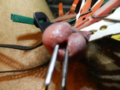 DSCN2150.JPG