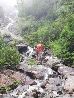 IMG_20180707_102157.jpg