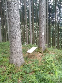IMG_20180708_102143.jpg
