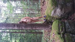 20180708_162126.jpg