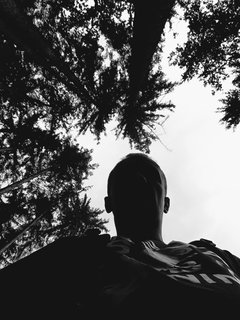 IMG_20180708_101530.jpg