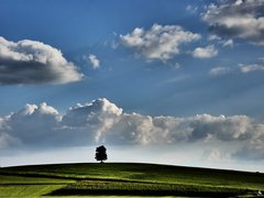 P1040188a.jpg