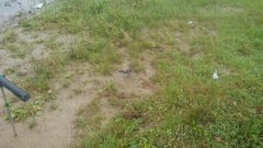 20180711_152633.jpg