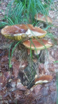 20180713_102817.jpg