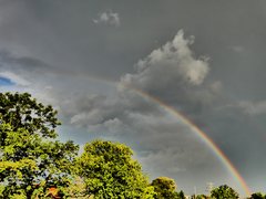 P1040217a.jpg