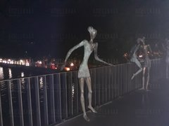 20180713_230107.jpg