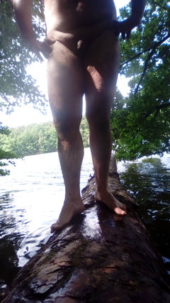 11730_1.jpg