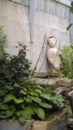 IMAG0367.jpg