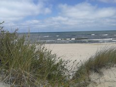 IMG_20180715_114823.jpg