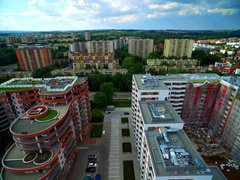 DJI_0377a.jpg
