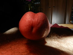 DSCN2233.JPG