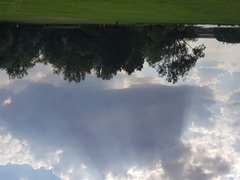20180716_162503.jpg