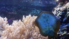 20180517_164145.jpg