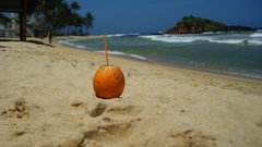 DSC05645.JPG