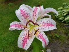 20180716_165100.jpg