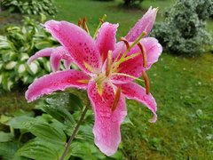 20180716_165342.jpg