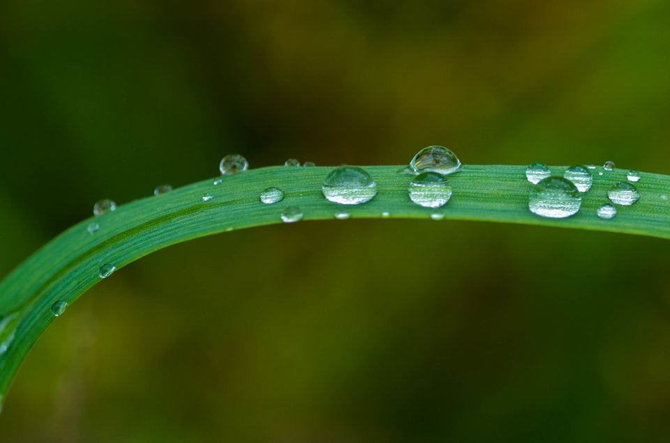 Rainy day 2 - mystic