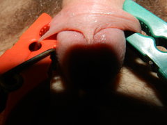 DSCN2282.JPG