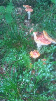 20180720_110924_Burst03.jpg