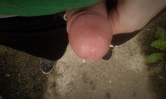 20180721_063034.jpg