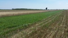 20180724_131922.jpg