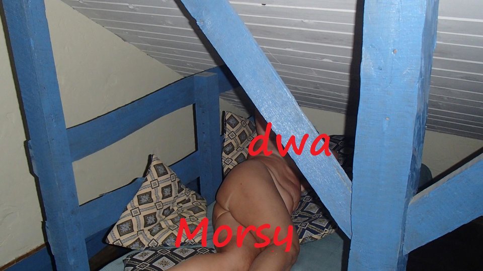 We wnętru. - Morsy_dwa