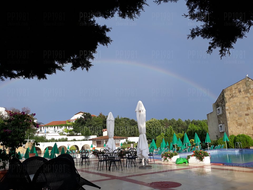 20180723_184052.jpg - pp1981