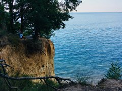 93B716D0-D706-4502-8F27-946470EC5CB6.jpeg