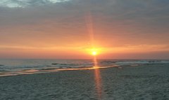 20180729_050747_HDR-1.jpg