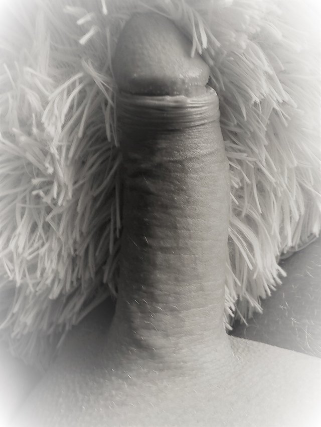 JJ281