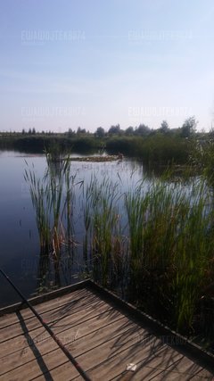 20180728_092459.jpg