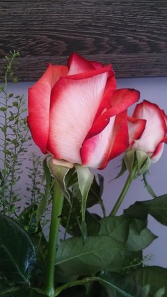20180726_182216.jpg