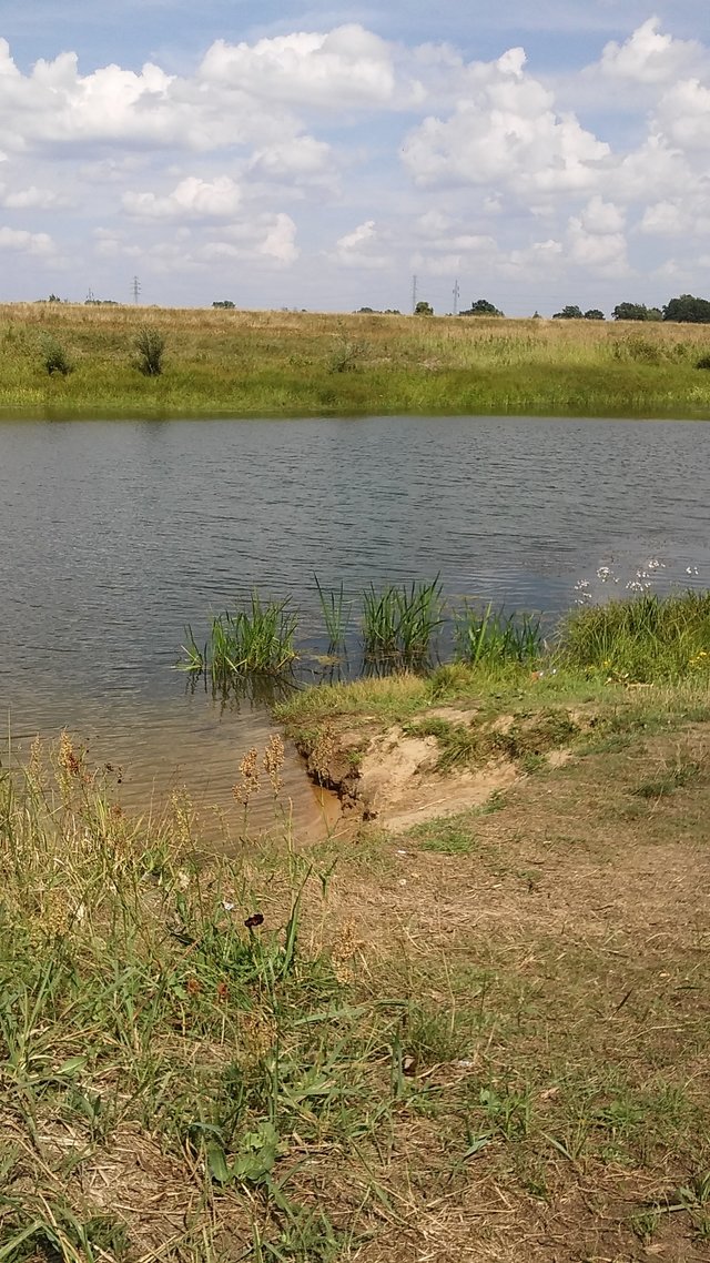 Aaacipkiszukam