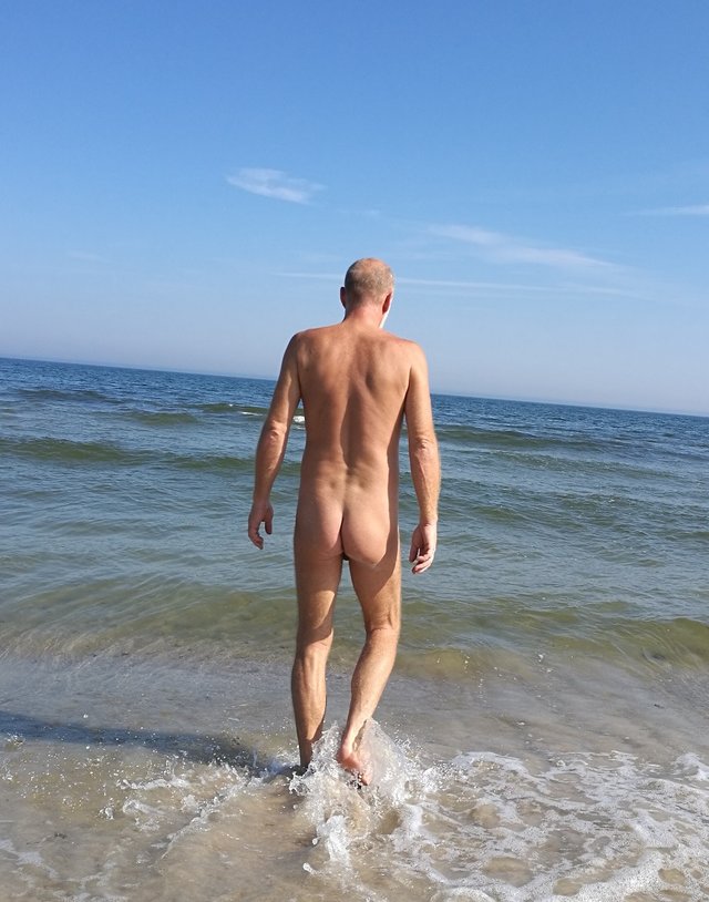 papagaje